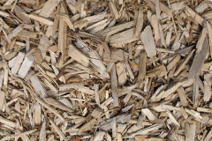 biomass boilers Carriden